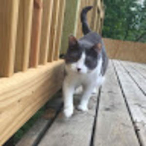 Meet your Posher, Lori